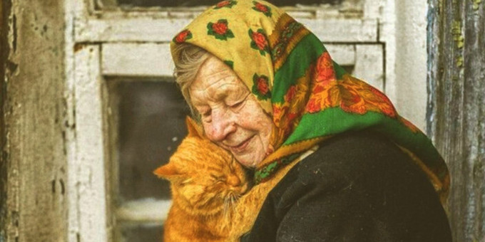 Старушка спасла бездомного котика: дальше начались чудеса