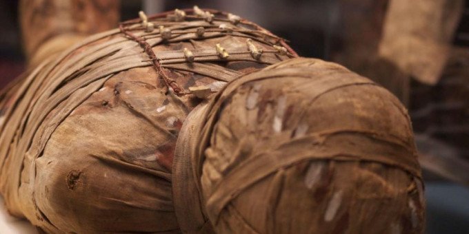 Внутри египетской мумии ястреба обнаружено неожиданное