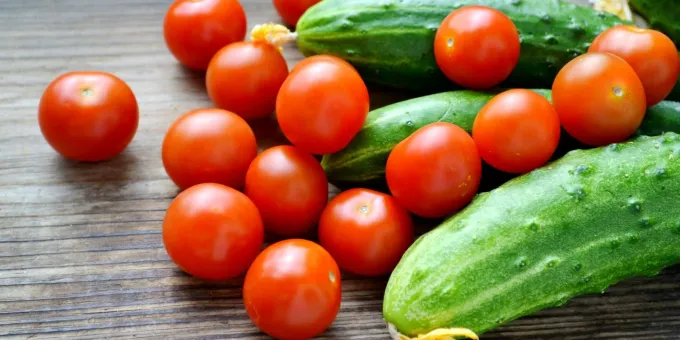 Почему огурец лучше есть отдельно от помидора