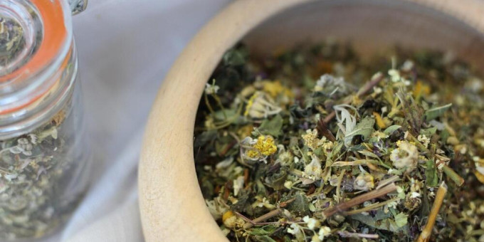 Есть растение, которое убивает 98% раковых клеток за 16 часов