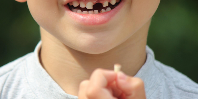 Почему не нужно выбрасывать детские молочные зубы