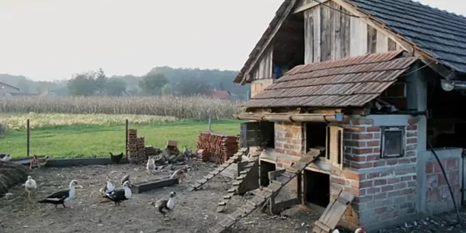 Что стало с девочкой, 10 лет жившей в курятнике