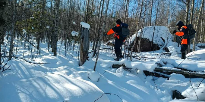 Искавшие Усольцевых дроны находили светящиеся точки в тайге
