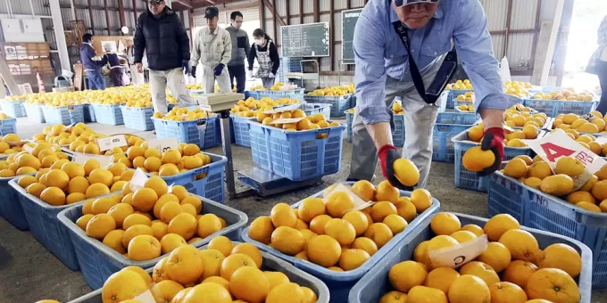 Эксперт сказал о влиянии войны в Иране на цены в магазинах РФ