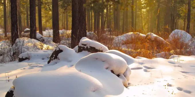 Аномально снежная зима повлияет на лето: к чему готовиться россиянам