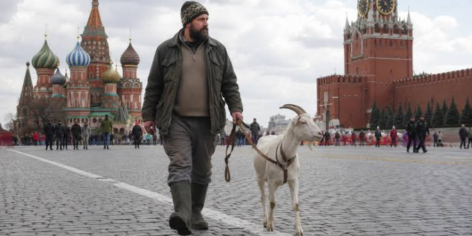 Выгул козы на Красной площади карается арестом