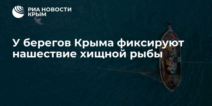 У берегов Крыма фиксируют нашествие хищной рыбы