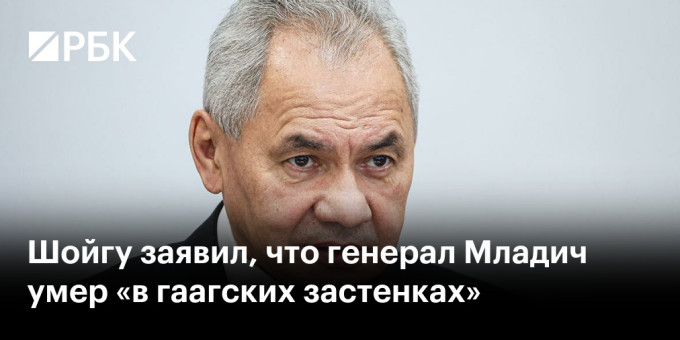 Шойгу заявил, что генерал Младич умер «в гаагских застенках»