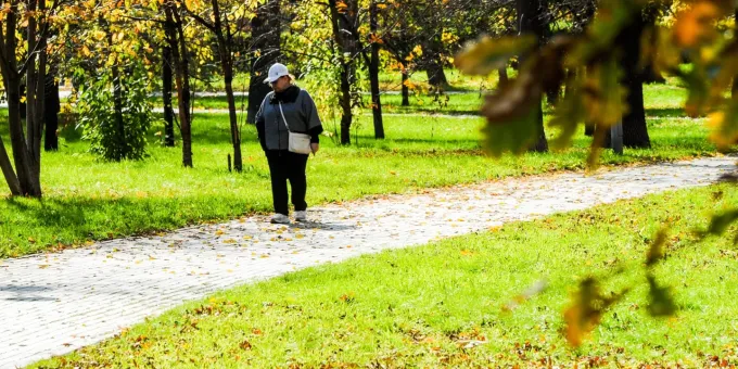 От дождей и заморозков до ласкового солнца: какой погоды ждать в октябре россиянам
