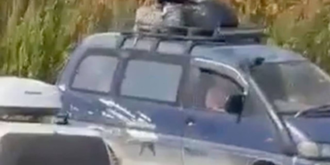 Медведь загнал отдыхавшего на Сахалине мужчину на крышу машины и попал на видео
