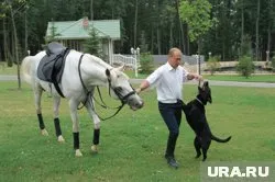 Путин празднует день рождения: как троечник стал разведчиком, изменил Россию и весь мир